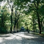 Scenic view of Tiergarten Park in Berlin with lush greenery and a serene pond